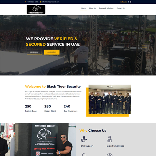 Black Tiger Security